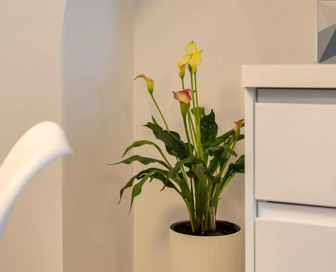 Guest house Victoria Seis Hotel Medina-Sidonia Spain