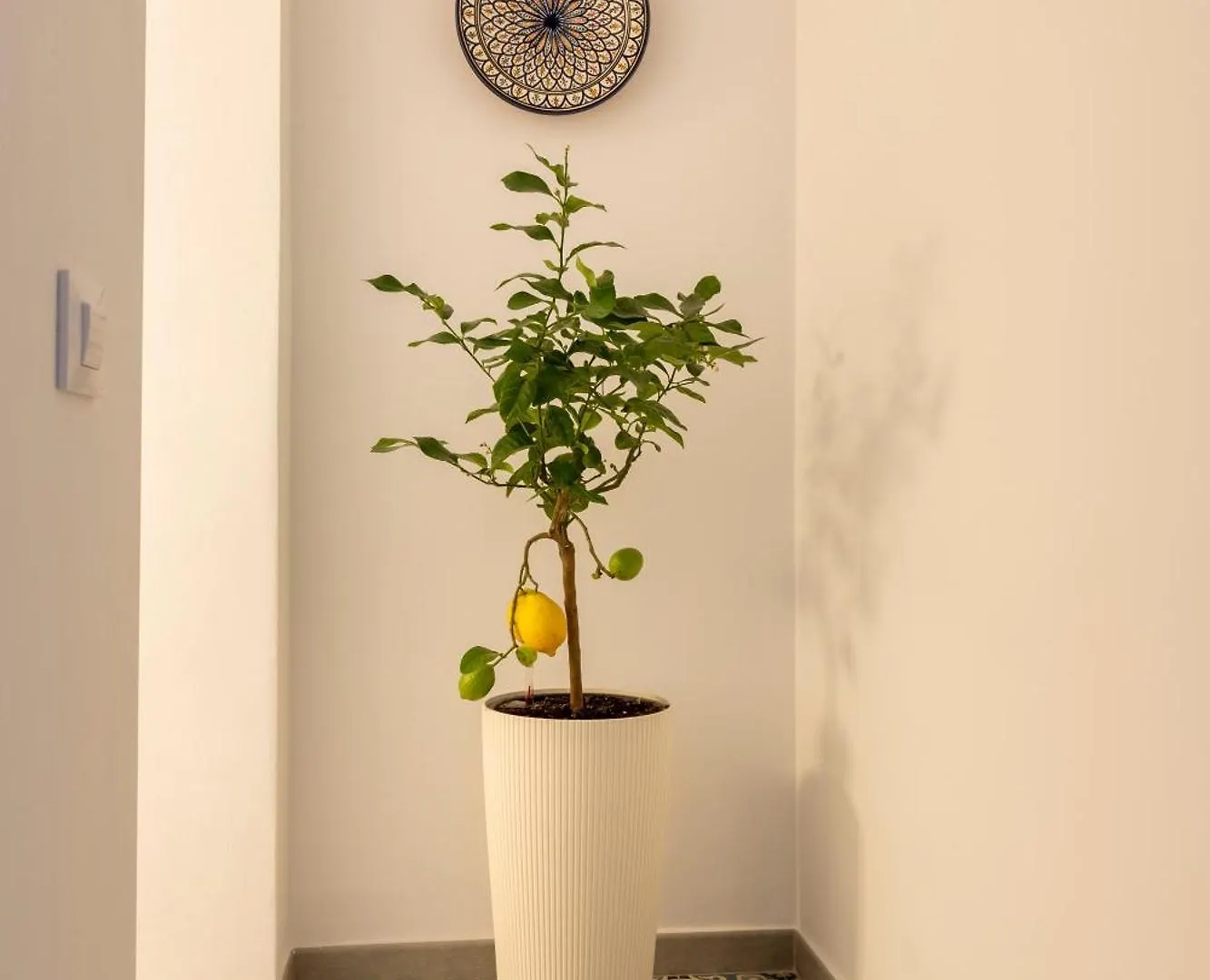 Victoria Seis Hotel Medina-Sidonia