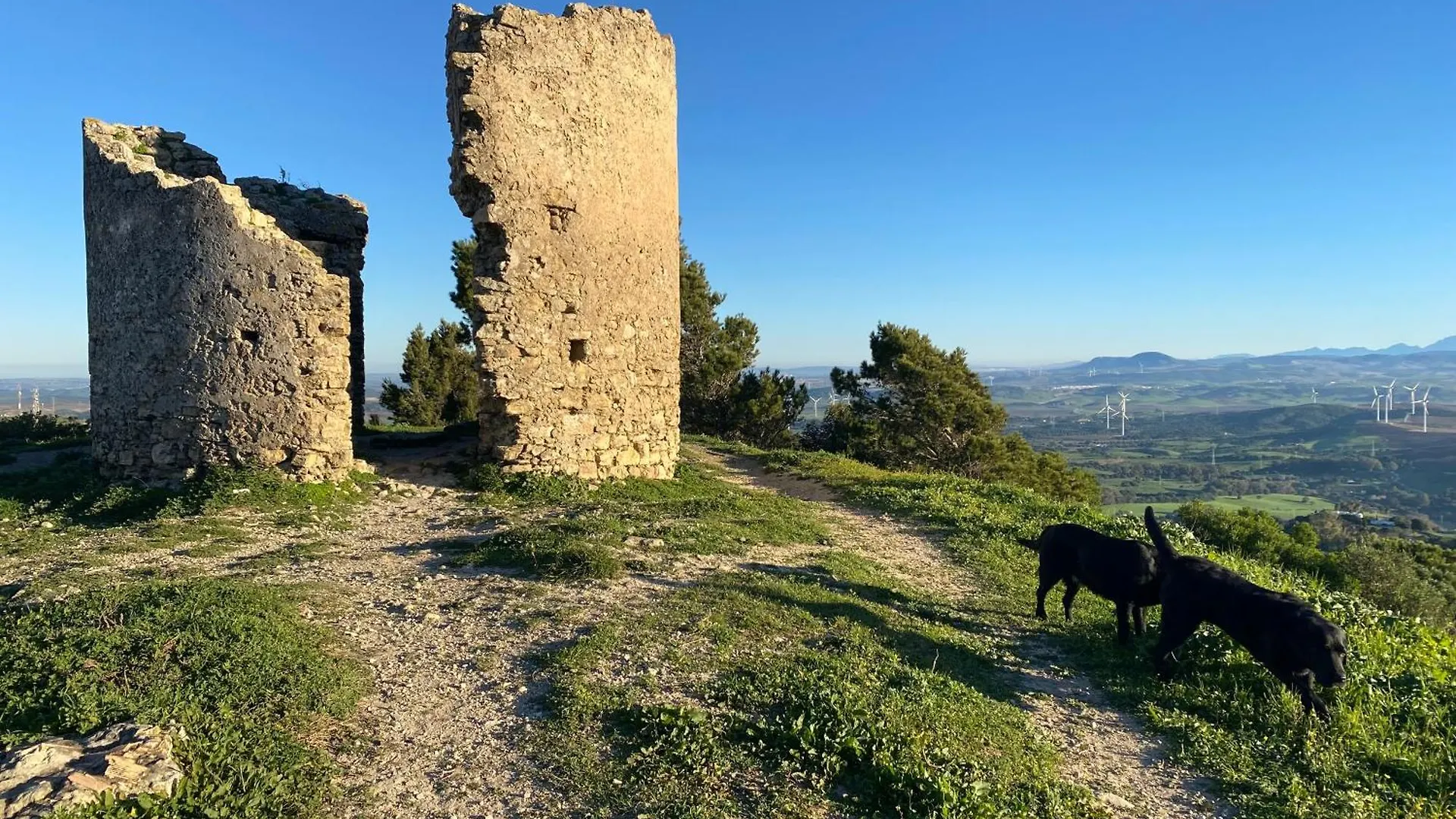 Guest house Victoria Seis Hotel Medina-Sidonia Spain